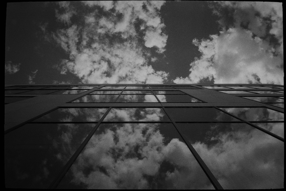 Reflect on feedback.