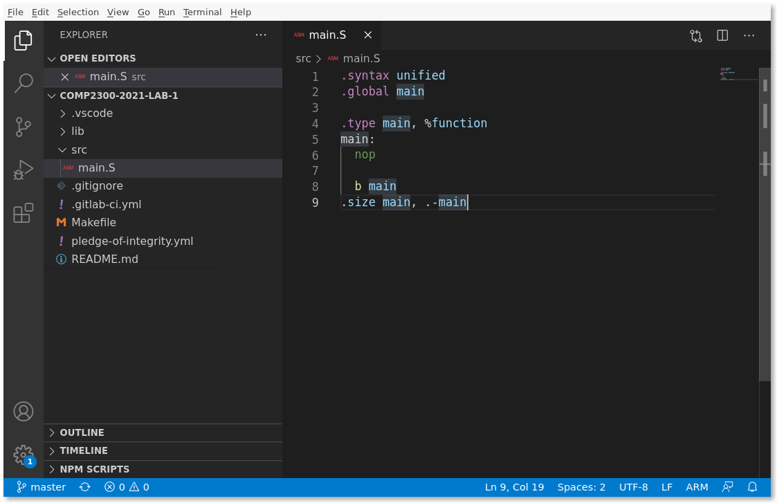 The main.s file in VSCodium